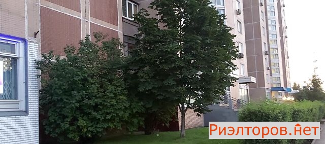      162 ( 2)