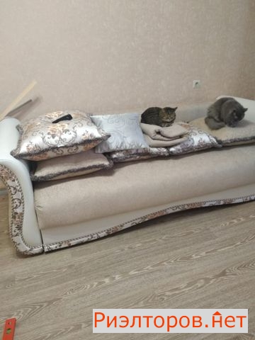 ����� �������� ����� ��������� 5�1 (���� �7)