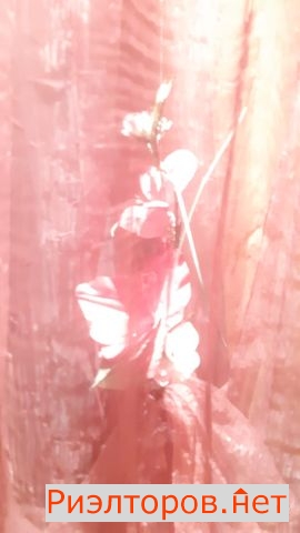 ����� �������� ��������� ������� ����� 6�1 (���� �11)