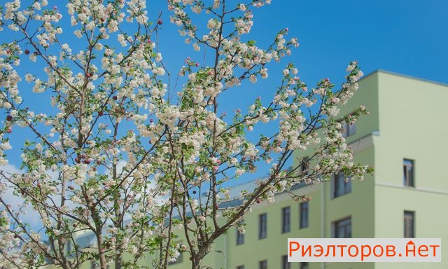 ������ �������� 2-� ����������������� �������� 4 (���� �16)