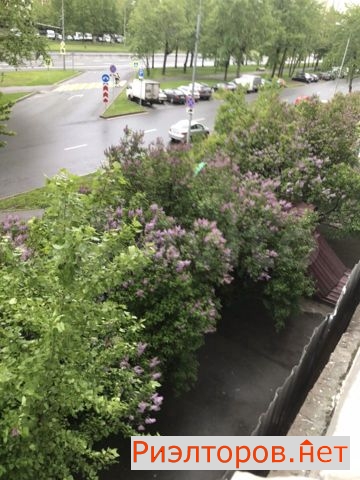 ������ �������� ������������ ����� 91 (���� �32)