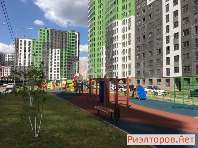 ����� �������� ������� ������ �������� ����� ����� (���� �11)