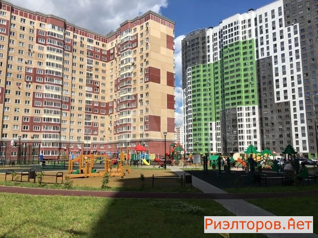 ����� �������� ������� ������ �������� ����� ����� (���� �12)