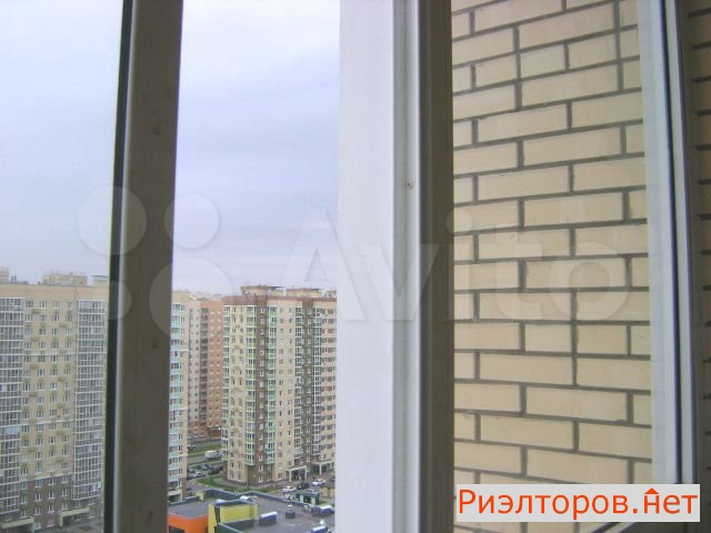      ( 3)
