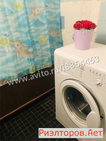 ����� �������� ����-�������� ����� 8�1 (���� �11)