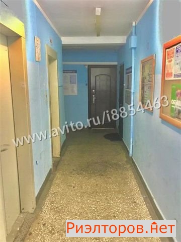 ����� �������� ����-�������� ����� 8�1 (���� �17)