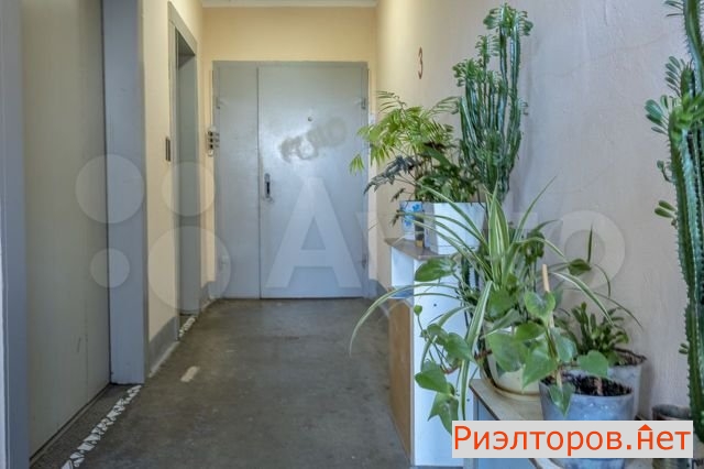 ����� �������� ������������ ����� 23�1 (���� �25)