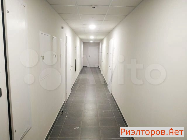 ����� �������� ����� ��������-��������� 11�4 (���� �5)