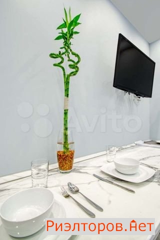 ����� �������� ��������� ������������ ����� 40� (���� �12)