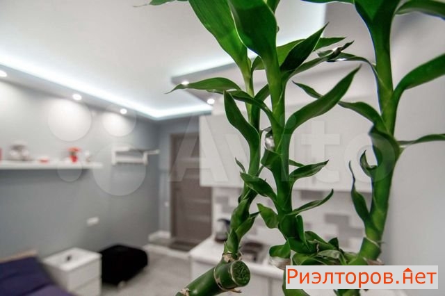 ����� �������� ��������� ������������ ����� 40� (���� �16)