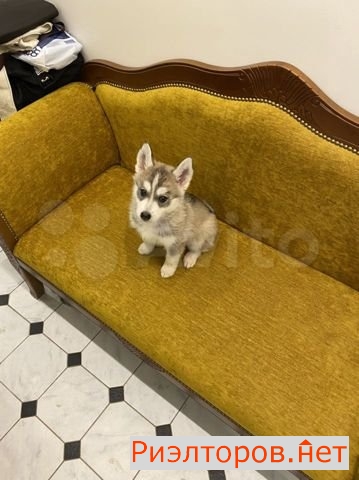 ����� �������� ������� ������������ ����� 31�12 (���� �6)