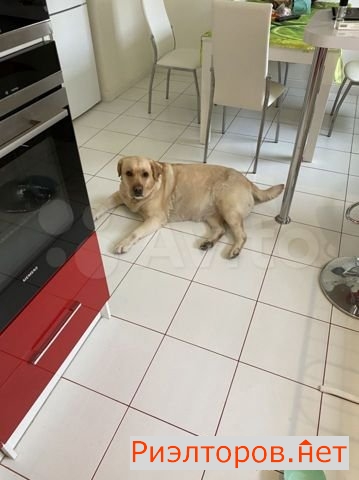 ����� �������� ������� ������������ ����� 31�12 (���� �8)