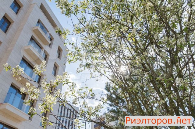 ������ �������� 2-� ����������������� �������� 4 (���� �10)