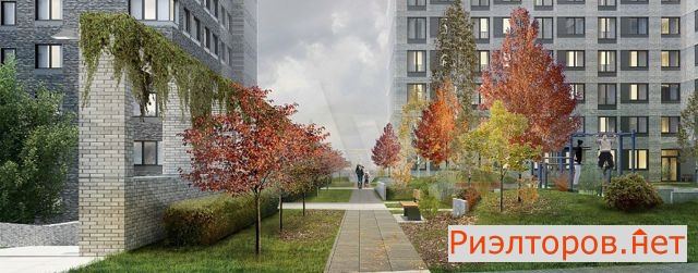 ������ �������� ����� ����� ������ 8 (���� �6)