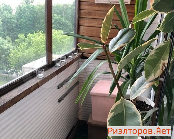 ����� �������� ����� ������� 8 (���� �5)