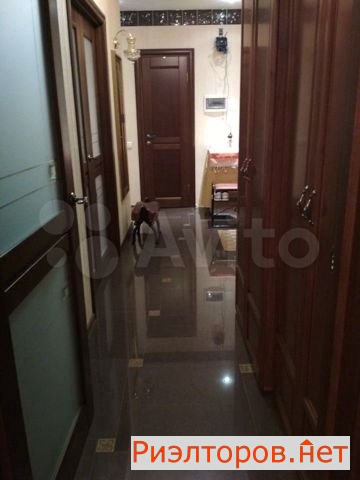 ����� �������� ����������� ������� 14�3 (���� �9)