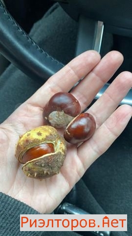 ����� �������� ����� �������� ������������ 30 (���� �10)