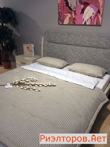 ����� ������� ��������� ����� 1905 ���� 21 (���� �2)