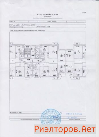 ������ ������� ����� ����� �������� 2�1 (���� �20)