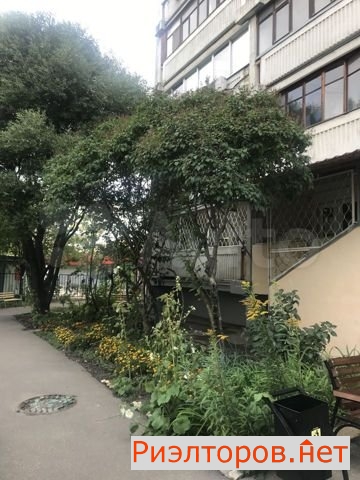 ����� �������� ���������� ����� 15 (���� �11)