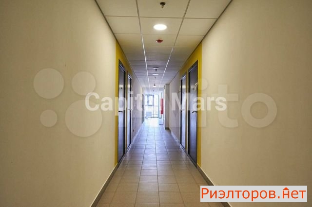 ����� �������� ������������ ����� 33��1 (���� �7)