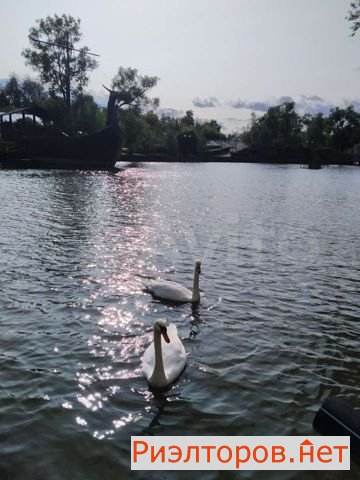 ����� �������� ������ ������� ����� ������ 18 (���� �11)