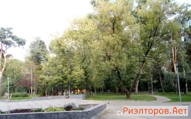 ������ �������� ������� ���������� ����� 11 (���� �32)