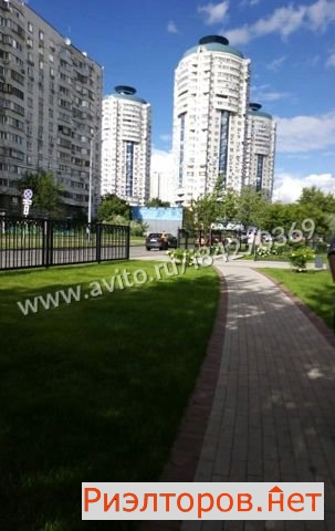 ����� �������� ����� ������� 39 (���� �13)