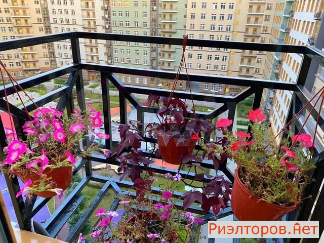 ����� �������� ��������� ���������� ������� ������ ����������� (���� �3)