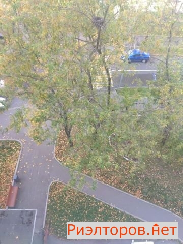 ����� �������� �������������� ����� 16 (���� �26)