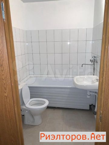      55 ( 11)