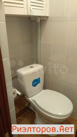 ����� �������� ����� �������� 14 1�2 (���� �19)