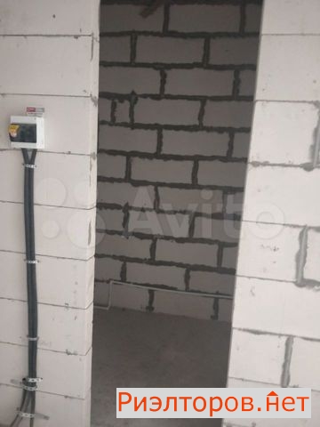       ( 2)