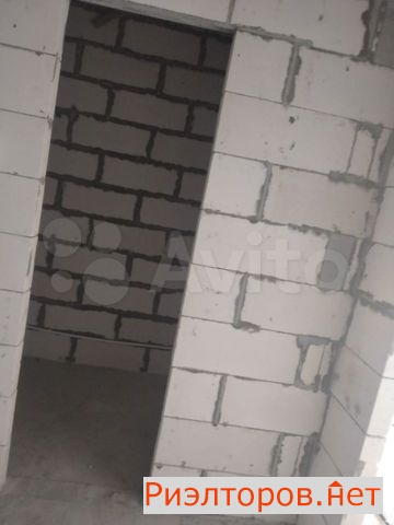       ( 4)