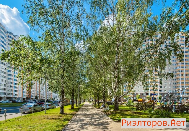 ������ �������� ��������� ���������� ���������� (���� �19)