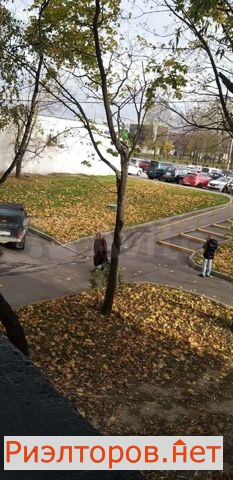 ����� ������� ����� �������� �������� 41 (���� �9)