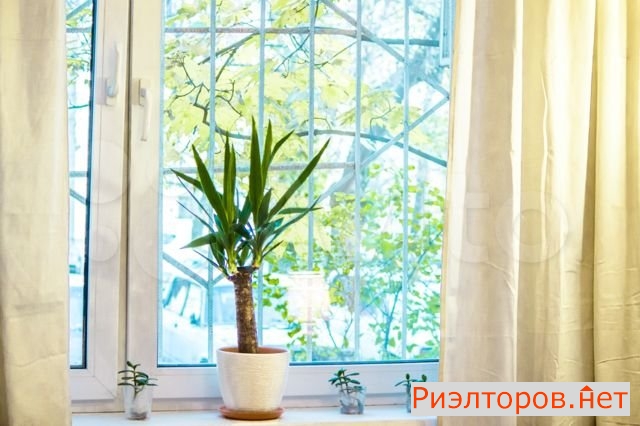 ����� �������� ��������� ����� �������� ��� 41�1 (���� �6)