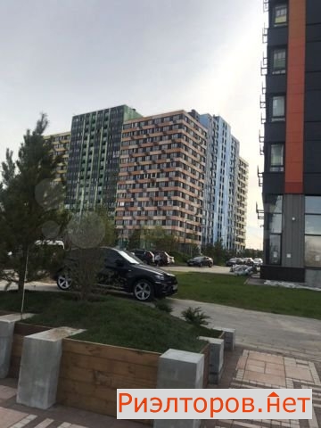       ( 2)