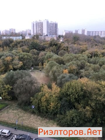 ����� �������� ����� ������� ��������� 23 (���� �31)