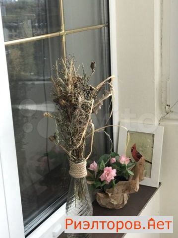 ����� �������� 15-� �������� ����� 24�1 (���� �31)