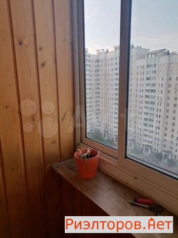 ����� �������� �2010 (���� �12)