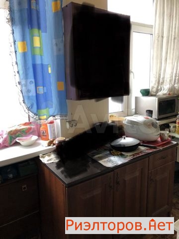 ������ ������� ������ ����������� 56 (���� �13)