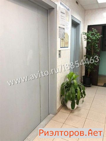 ����� �������� ����������������� ����� 49�1 (���� �17)