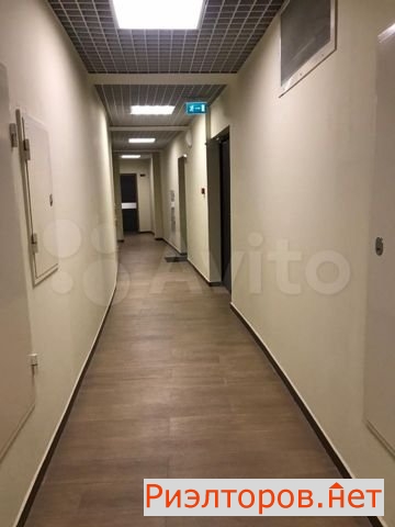 �� ���� ���� ����� (���� �13)