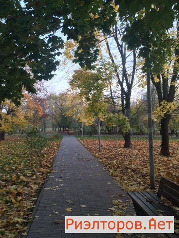 ����� �������� ������ ����� 20 (���� �10)