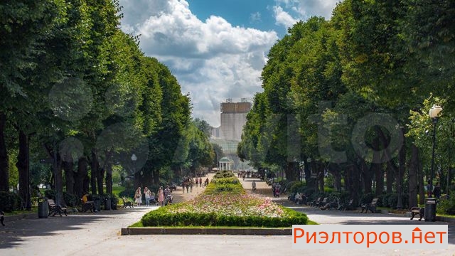 ������ �������� ����� ������� ������� 44 2 (���� �21)