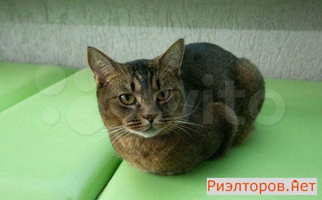 ������ �������� ����� ������� ������������ 37 21 (���� �16)