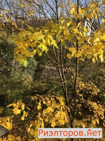 ����� �������� �������� ������� 39�2 (���� �14)