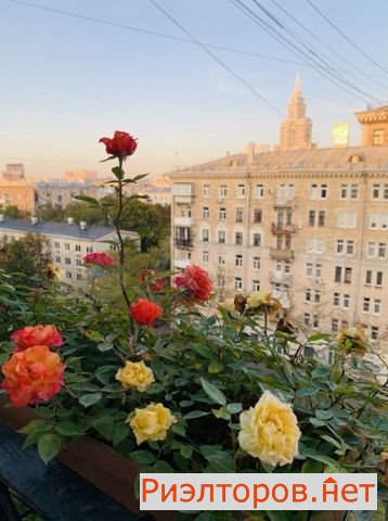 ����� �������� ������������ ����� 22 (���� �14)