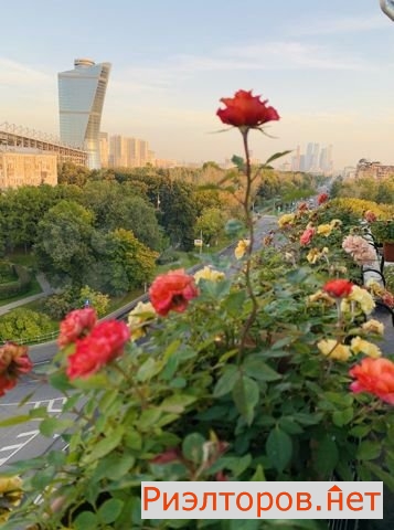 ����� �������� ������������ ����� 22 (���� �15)